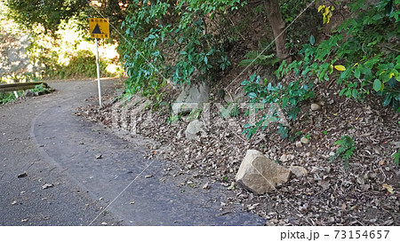 山中を走る道路に転がる落石した岩と落石注意看板 73154657