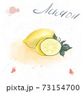 Watecolor background fresh limon with green leaves. Food element for your design. 73154700