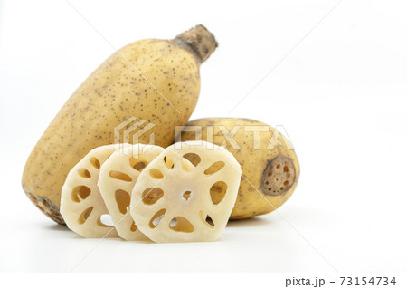 Close up sliced fresh lotus root  which leaning against the whole lotus root that placed behind, isolated image on white background. 73154734