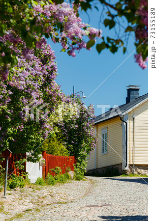 Beautiful street with old wooden houses and blooming lilac in old town of Porvoo 73155189