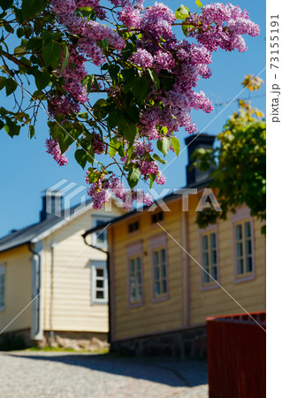 Beautiful street with old wooden houses and blooming lilac in old town of Porvoo 73155191