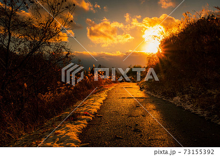 冬 雪が積もった夕方の歩道に夕日が差し込む様子の写真素材