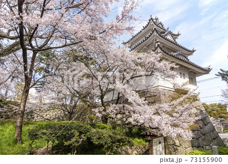 桜と津城跡 お城公園 桜の名所 三重県観光スポット 三重県花見スポットの写真素材