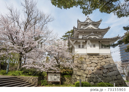 桜と津城跡 お城公園 桜の名所 三重県観光スポット 三重県花見スポットの写真素材