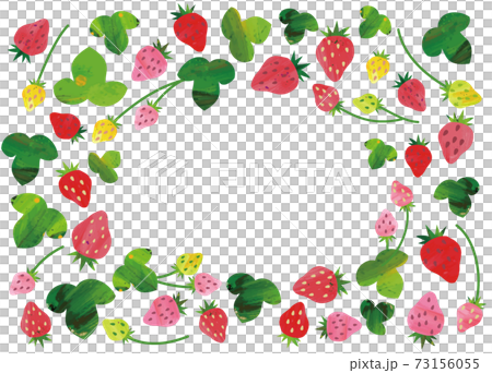 いちごの背景フレーム　白背景 73156055