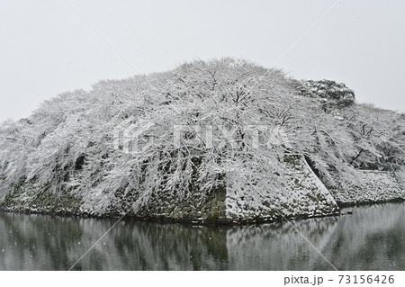 彦根f城の外堀と雪染めの風景の写真素材