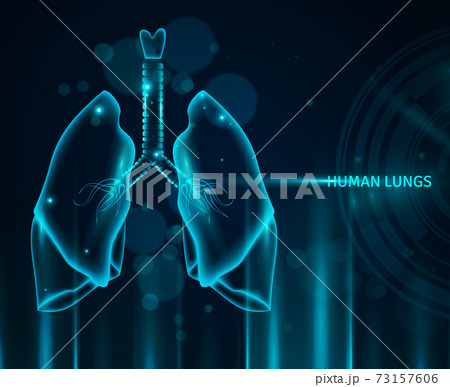Human Lungs Background Human Lungs Background 73157606