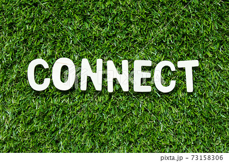 Wood alphabet letter in word connect on artificial green grass background Wood alphabet letter in word connect on artificial green grass background 73158306