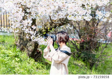 京都観光で桜の写真を撮る若いカメラ女子 京都観光で桜の写真を撮る若いカメラ女子 73159058