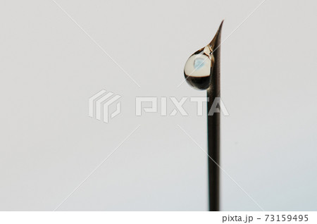 Drop of vaccine on end of syringe needle 73159495