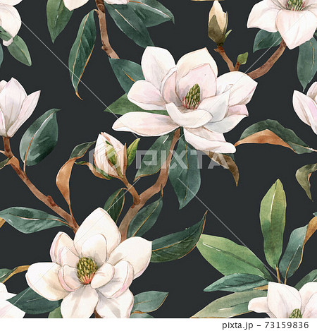 Beautiful seamless pattern with hand drawn watercolor white magnolia flowers. Stock illustration. 73159836