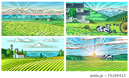 Rural meadow. A village landscape with cows, hills and a farm. Sunny scenic country view. Hand drawn 73160415