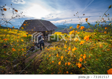 Rice terrace field in Ban Pa Bong Piang village in Mae Chaem District, Chiang Mai Province, Thailand 73161517