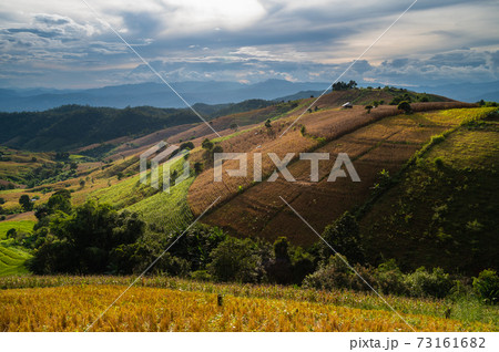 Rice terrace field in Ban Pa Bong Piang village in Mae Chaem District, Chiang Mai Province, Thailand 73161682