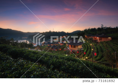 Beautiful scene of terrace tea field in Ban Rak Thai village in Mae Hong Son, Northern Thailand 73161692