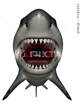 Megalodon Dinosaur Mouth 3d Renderのイラスト素材