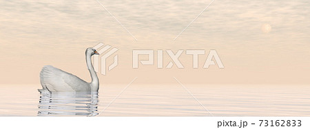 Peaceful swan - 3D render Peaceful swan - 3D render 73162833