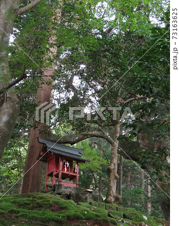 福井県　若狭　神宮寺 73163625