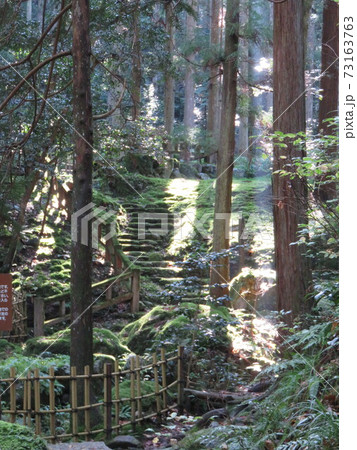 福井県 若狭 瓜破の滝 福井県 若狭 瓜破の滝 73163763