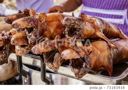 Cuy guinea pig roasted and ready to eat Cuy guinea pig roasted and ready to eat 73163916