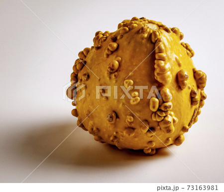 Decorative Gourd on white Decorative Gourd on white 73163981