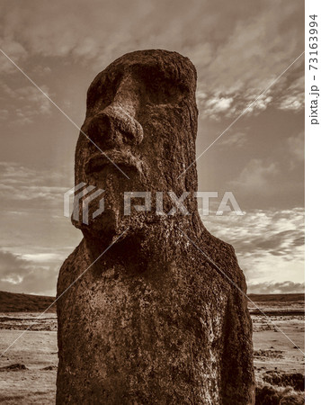 Moai Statues on Easter Island at the Rano Raraku Quarry Moai Statues on Easter Island at the Rano Raraku Quarry 73163994