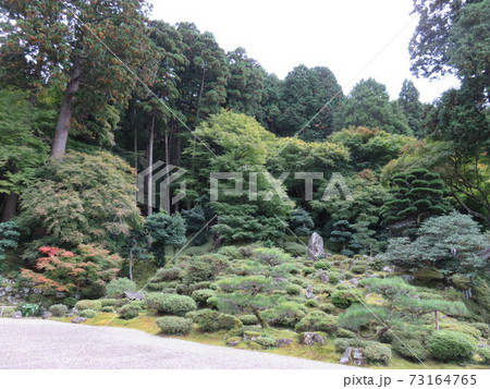 福井県　若狭　満徳寺 73164765