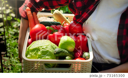 Closeup of woman carryoing box full of of ripe organic vegetables. Concept of small business and growing organic vegetables at backyard garden 73165300