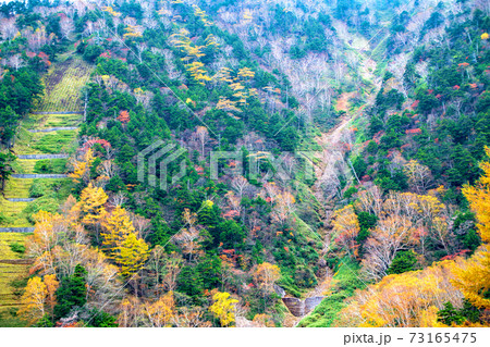 日光　紅葉景色　秋景色　国道120号からの景色　栃木県側　　 73165475