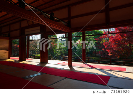 京都　建仁寺の塔頭寺院　正伝永源院の紅葉 73165926