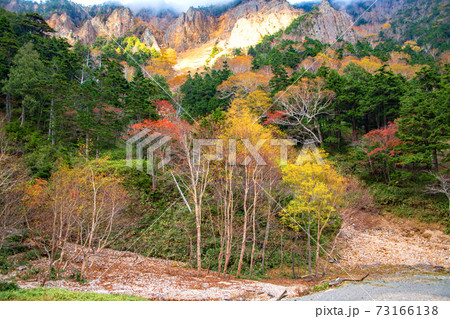日光 金精峠付近の風景 国道120号 紅葉景色 秋景色 栃木県側 日光 金精峠付近の風景 国道120号 紅葉景色 秋景色 栃木県側 73166138