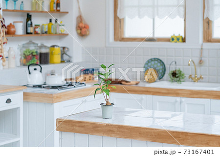 キッチンの観葉植物の写真素材