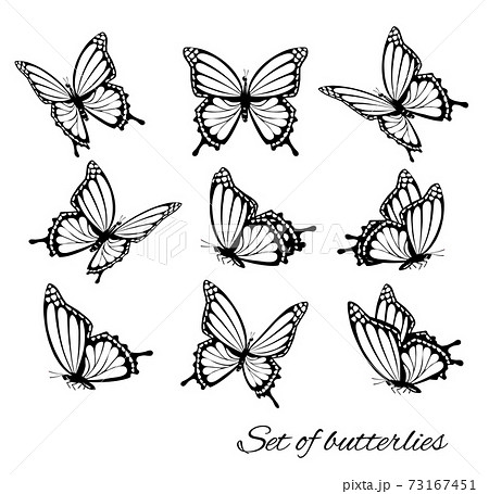 Continuous one line drawing. Flying butterfly logo. Black and white  illustration. Concept logo, card, banner, poster.