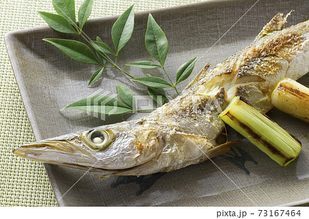 カマスの塩焼き14 73167464
