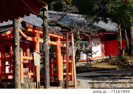 春日大社 春日大社 73167899