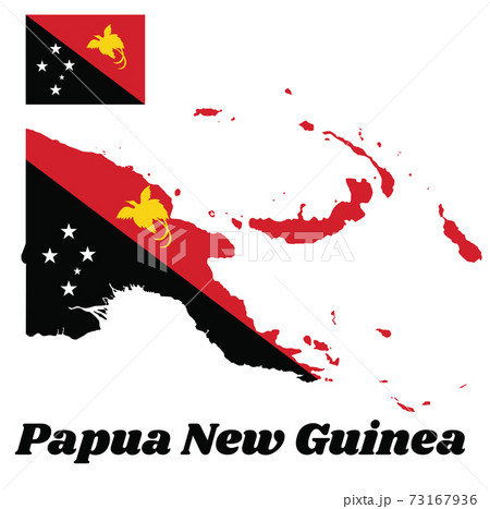 Map outline and flag of Papua New Guinea, with...のイラスト