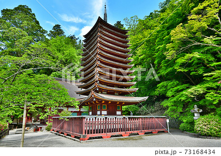 新緑の談山神社 新緑の談山神社 73168434
