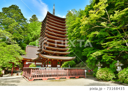 新緑の談山神社 73168435