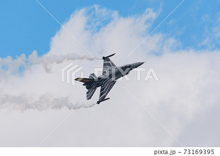 ベルギー空軍F-16AMディスプレイチーム 73169395
