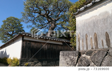 萩市重要伝統的建造物群保存地区武家屋敷土塀と庭木 萩市重要伝統的建造物群保存地区武家屋敷土塀と庭木 73169600