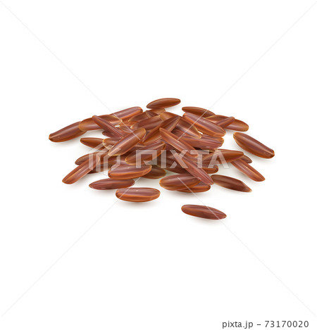 Small pile of long grain red rice. 73170020