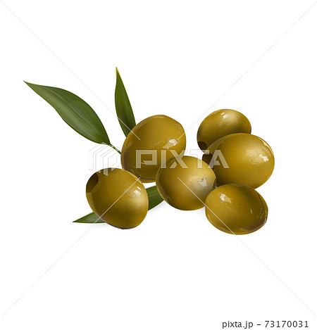 Green olives with leaves on a white background. 73170031