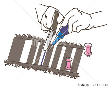 奄美大島紬の工程イラスト　刷り込み染色 73170818