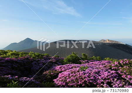 獅子戸岳のミヤマキリシマと新燃岳 73170980