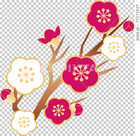 Ume Ume Hana春天插圖素材 73171037