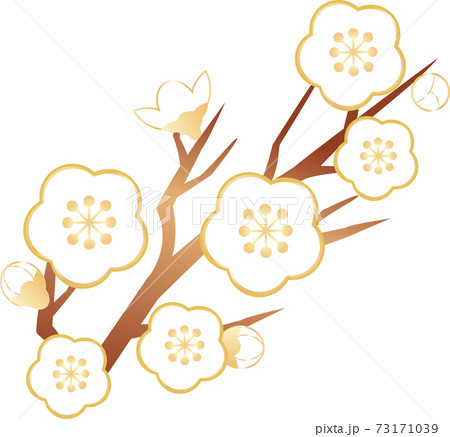 梅　うめ　花　春　イラスト素材 73171039
