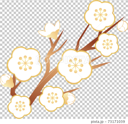Ume Ume Hana春天插圖素材 73171039