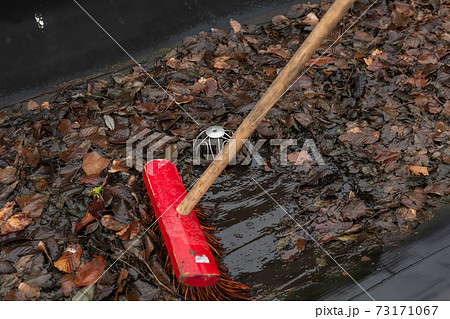 The gutter is blocked on a flat roof 73171067