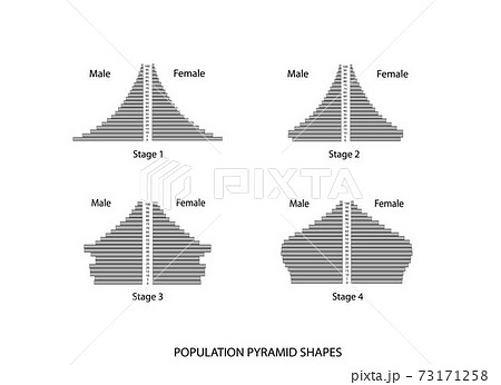 Four Types of Population Pyramids on White Background Four Types of Population Pyramids on White Background 73171258