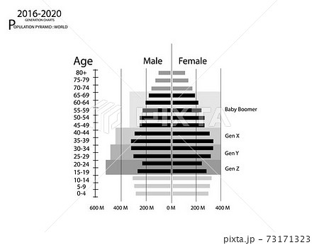 16 Population Pyramids Graphs With 4 のイラスト素材